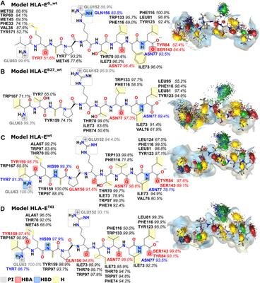 What a Difference an Amino Acid Makes: An All-Atom Simulation Study of Nonameric Peptides in Inhibitory HLA-E/NKG2A/CD94 Immune Complexes